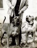 FILA BRASILEIRO ALDO